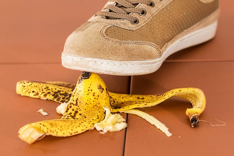 Die Banane im Labor
